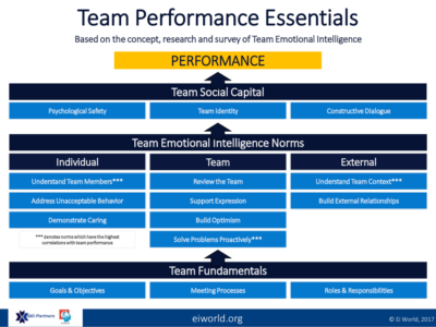 Team Emotional Intelligence Survey - Accreditation