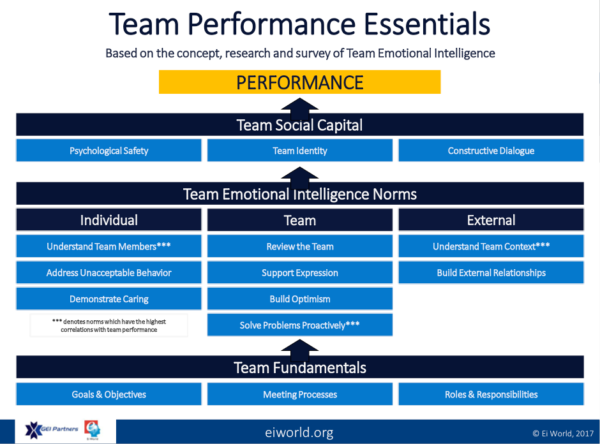 Team Emotional Intelligence Survey - Accreditation