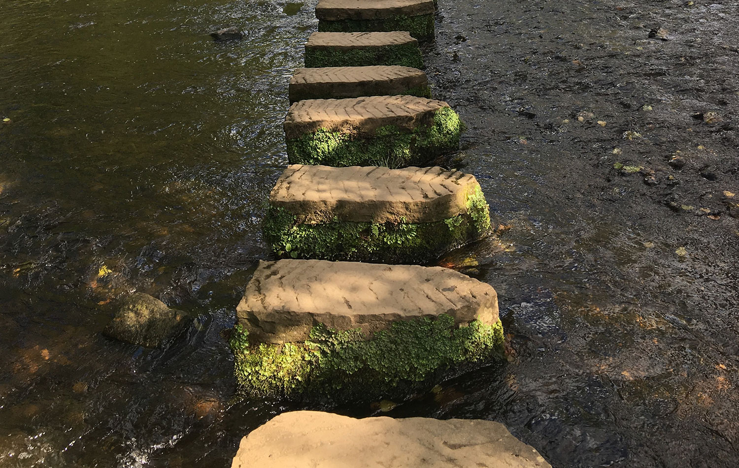 Resilient Meaning Stones