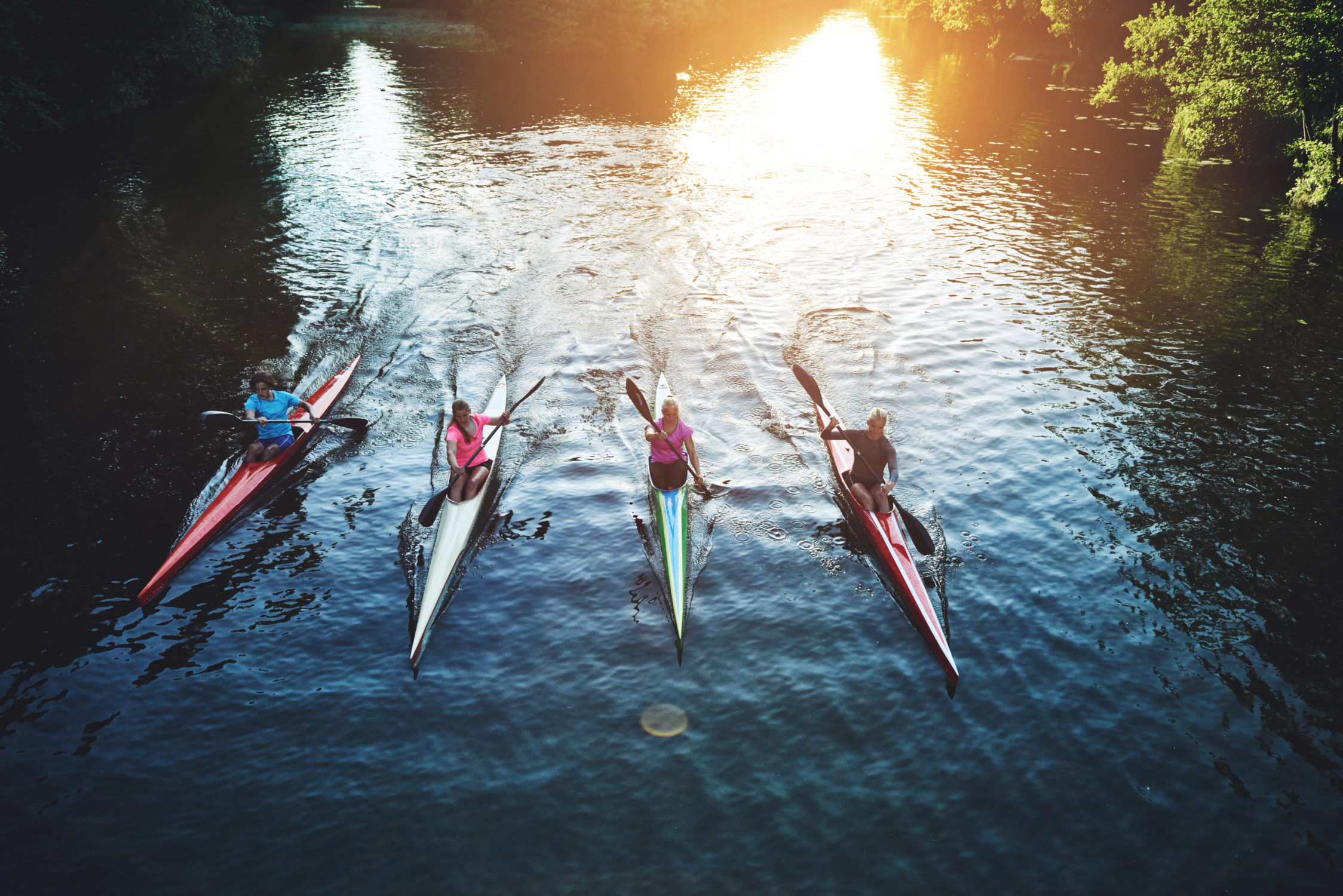 Team of People Rowing Representing a Team that Works Together