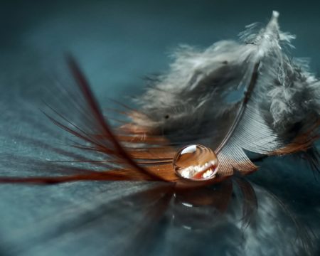 Drop on a feather