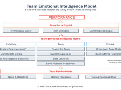 Team Emotional Intelligence Survey - Accreditation